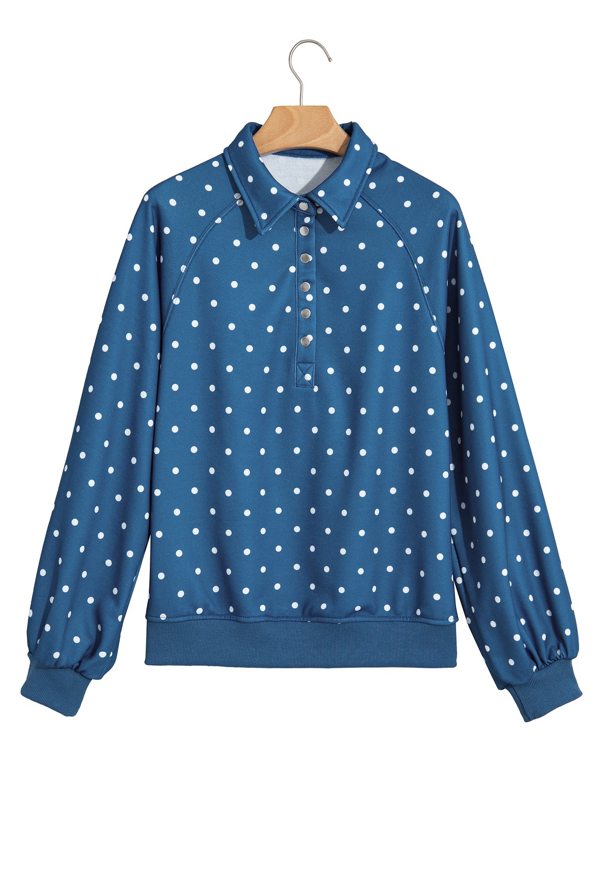Polka Dot Button Collar Pullover Sweatshirt