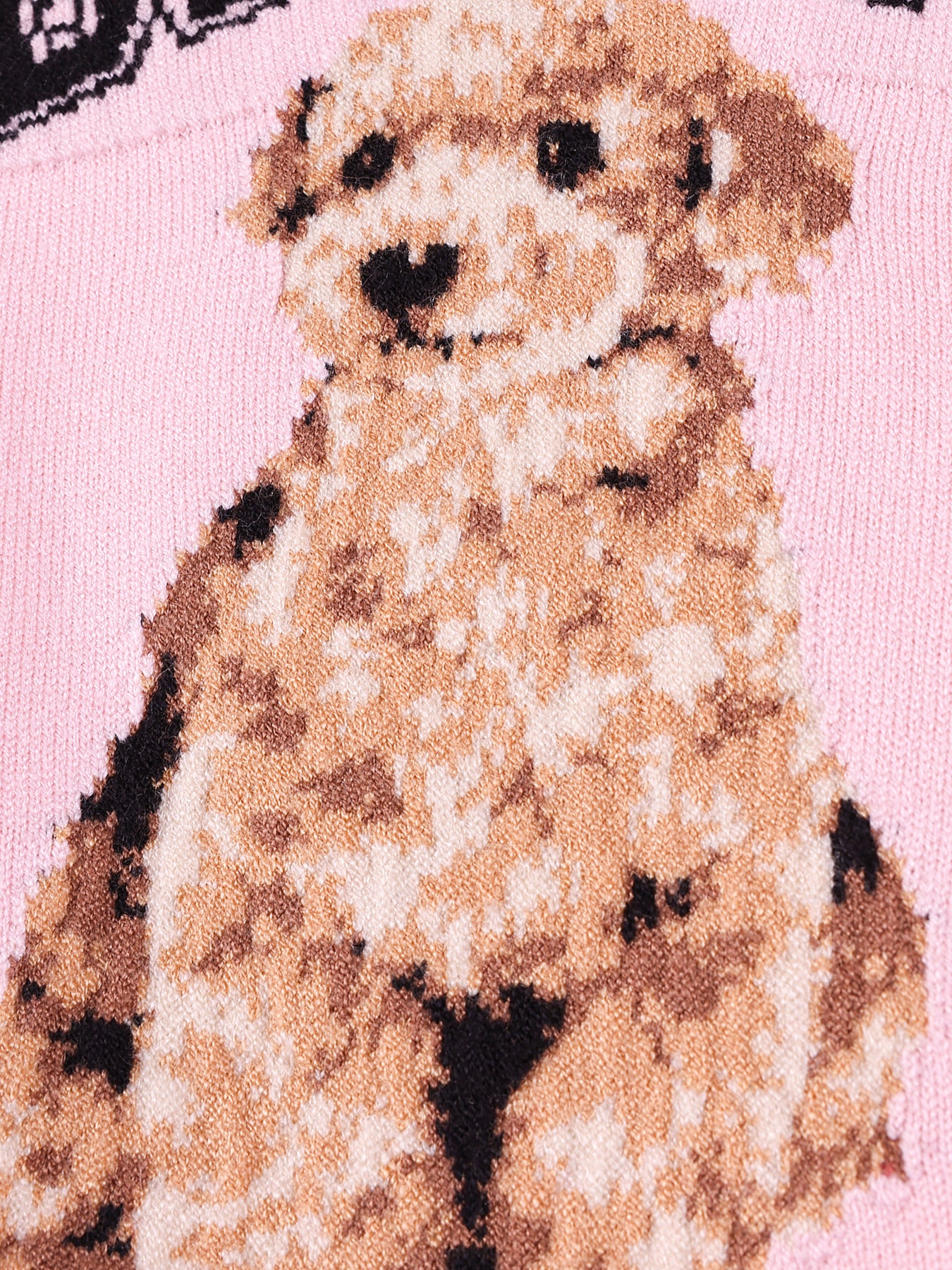 Pink Cartoon Dog Sweatshirt for Kids | Cozy & Cute