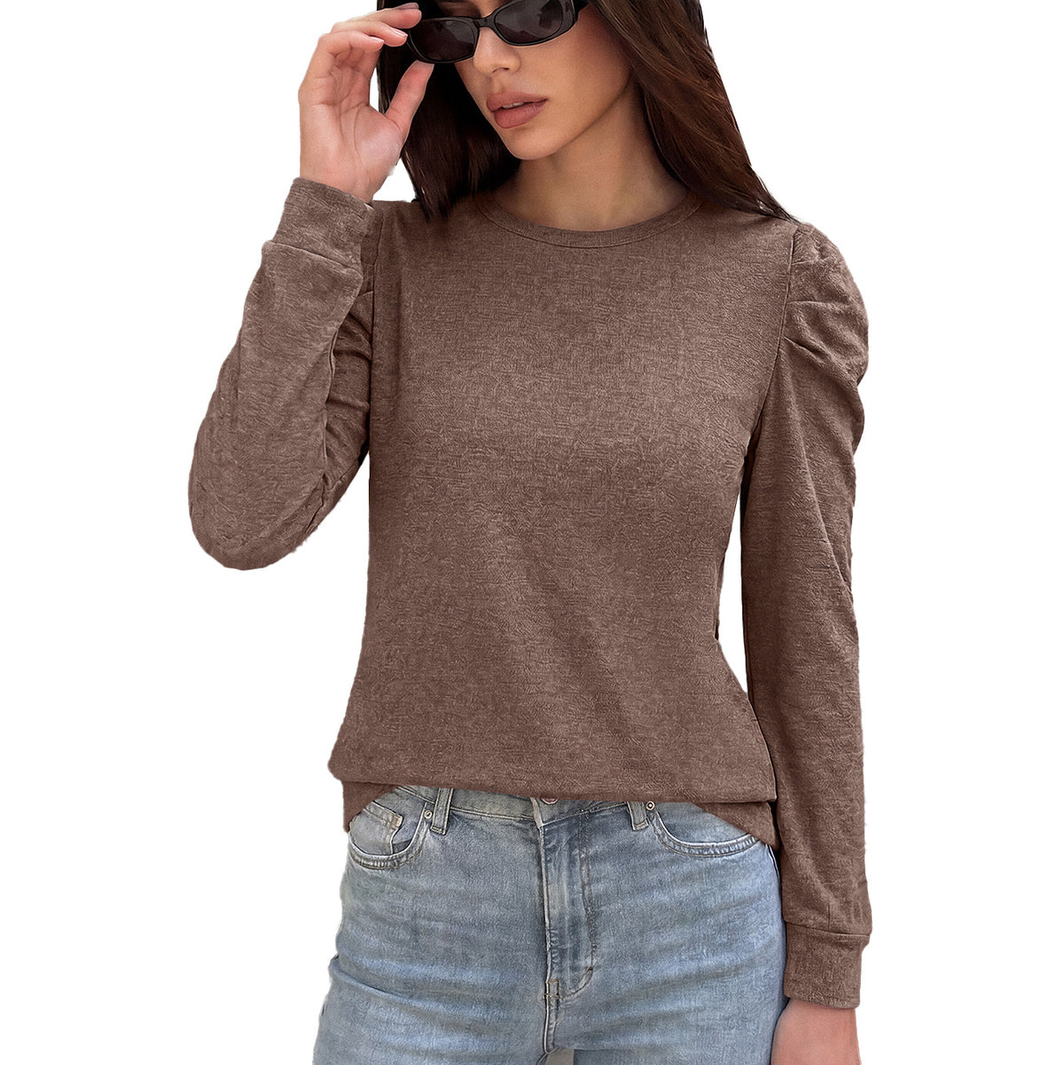 Women's Puff Sleeve Crew Neck Long Sleeve Solid Casual Top