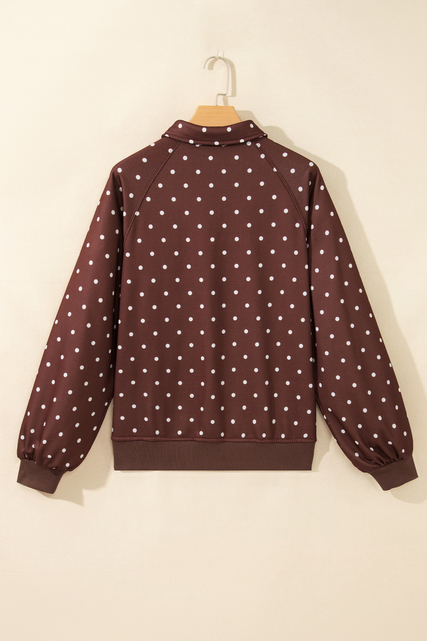 Polka Dot Button Collar Pullover Sweatshirt
