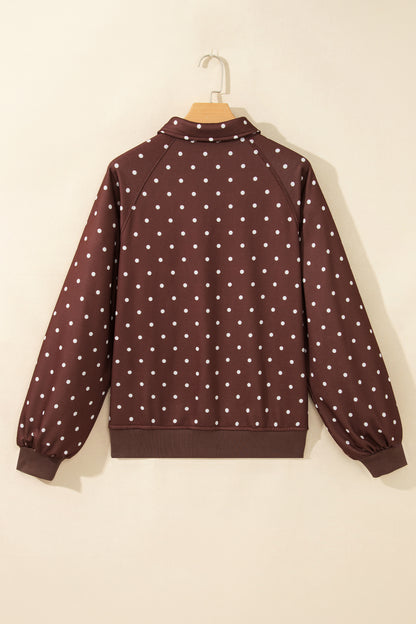 Polka Dot Button Collar Pullover Sweatshirt
