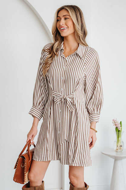 Brown Stripe Knot Waist Puff Sleeve Button Down Shirt Dress