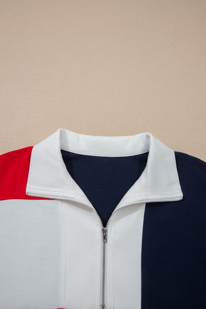 Americana Colorblock Zip Collar Flag Day Dress Independence