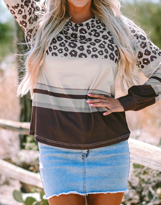 Brown Leopard Color Block Crewneck Long Sleeve Top