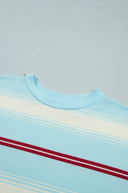 Sky Blue Stripe Casual Striped Patchwork Long Sleeve Loose Pullover Top