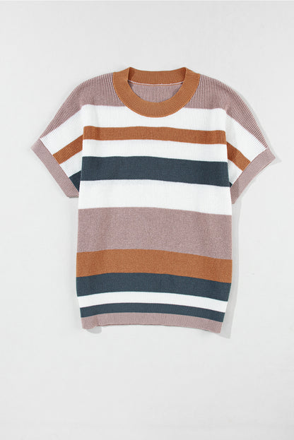 Camel Striped Knit Crew Neck T Shirt Sweater