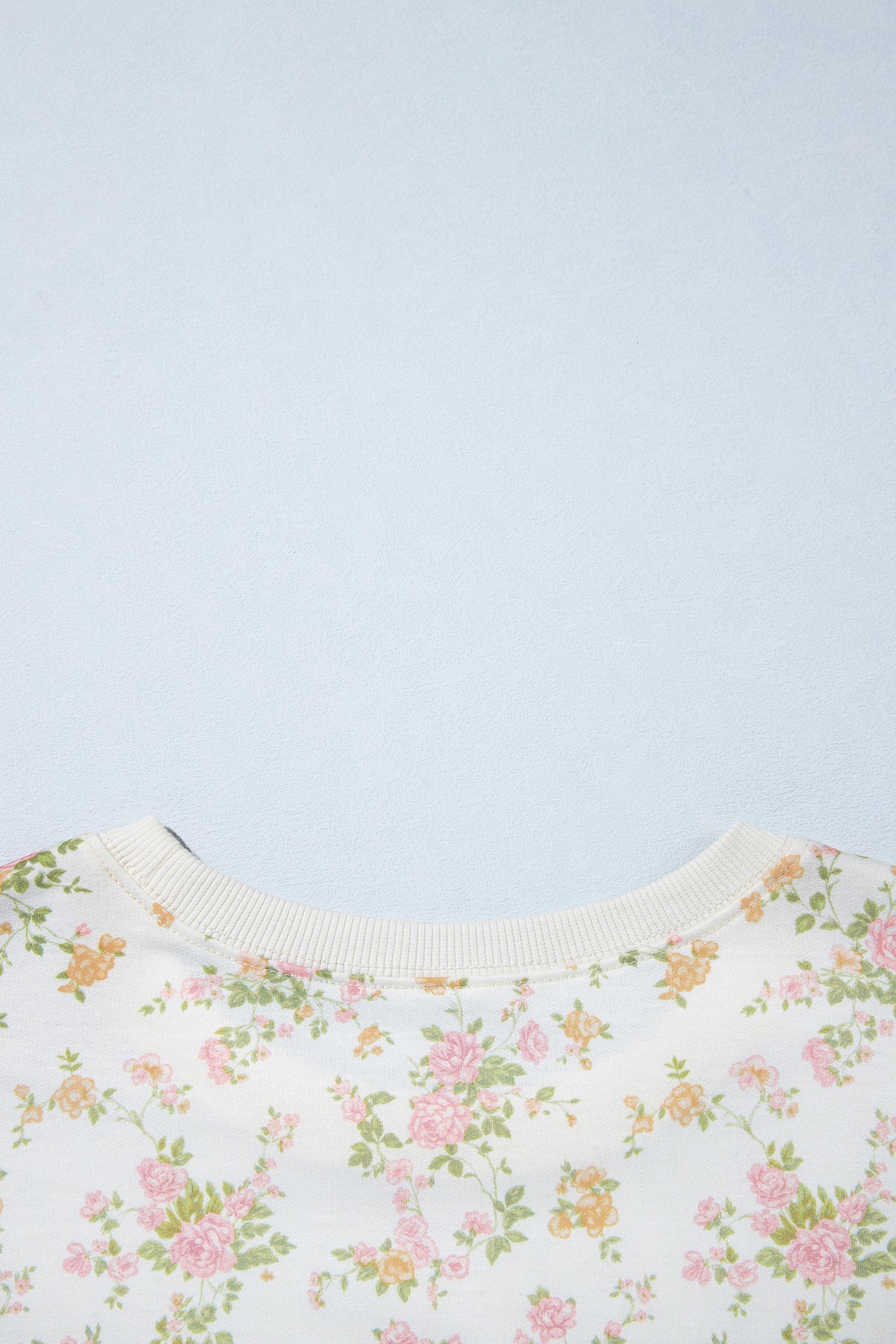 Floral Sweatshirt Shorts Set Women Lounge Two Piece Set