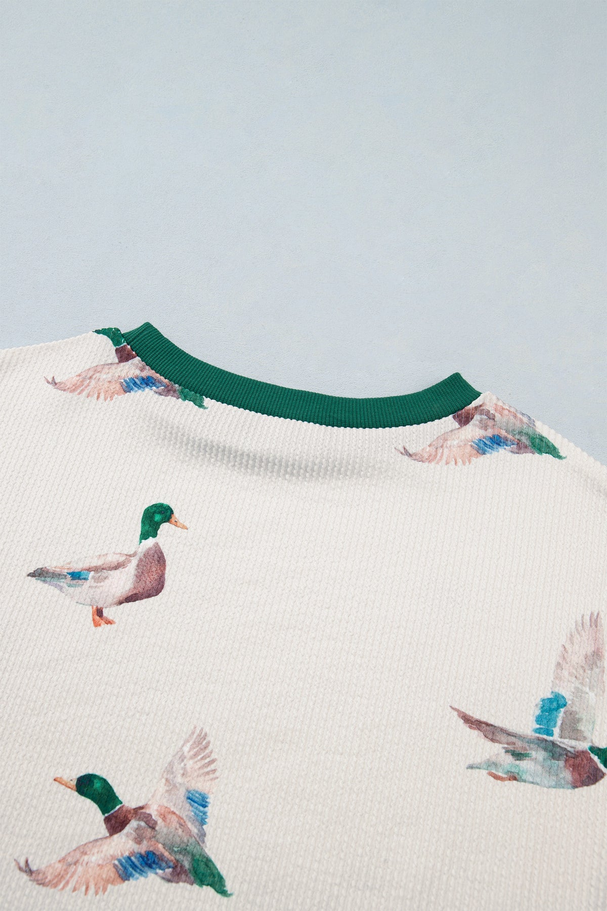 Duck Ribbed Top Western Colorblock Long Sleeve