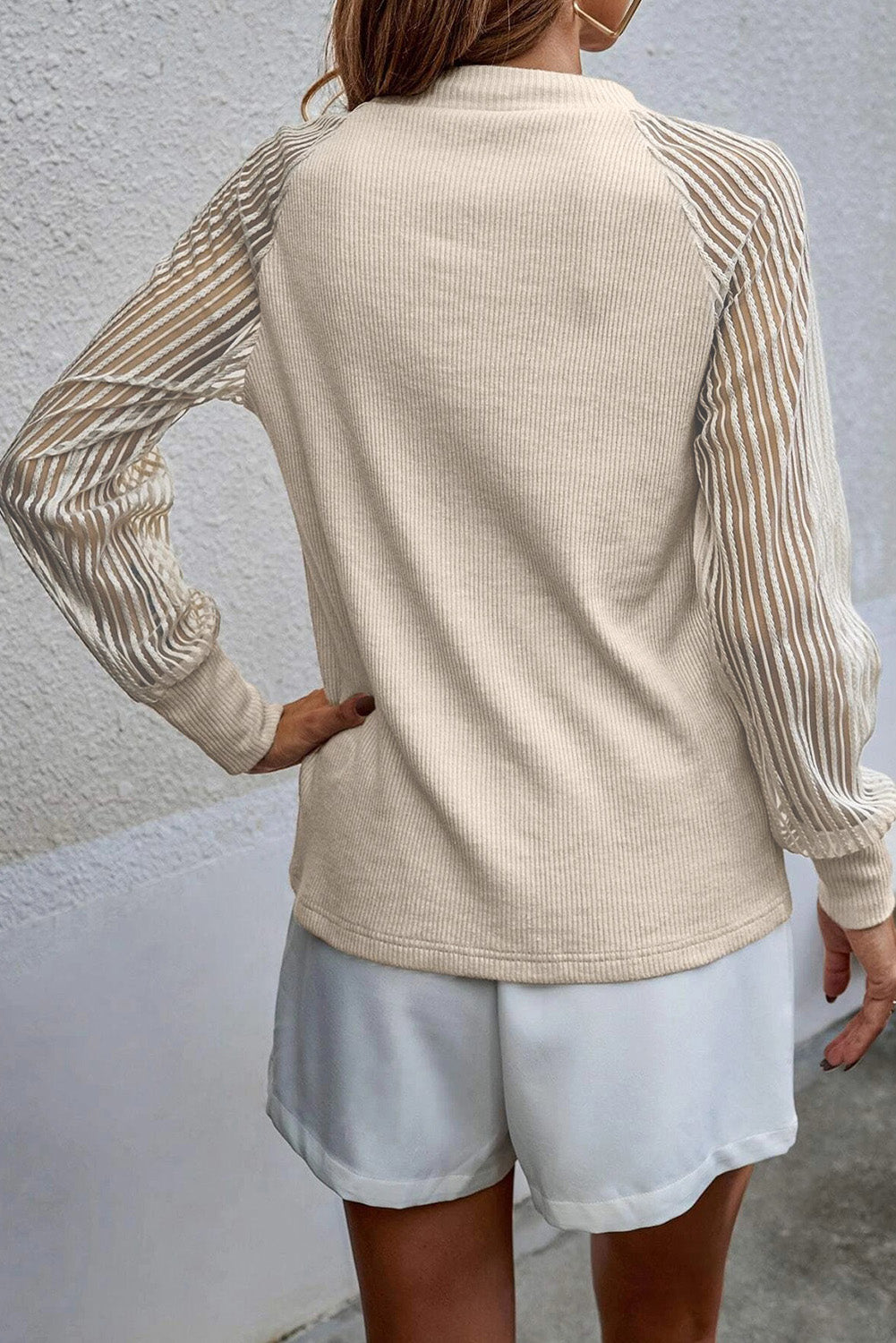 Striped Mesh Long Sleeve Crewneck Ribbed Top