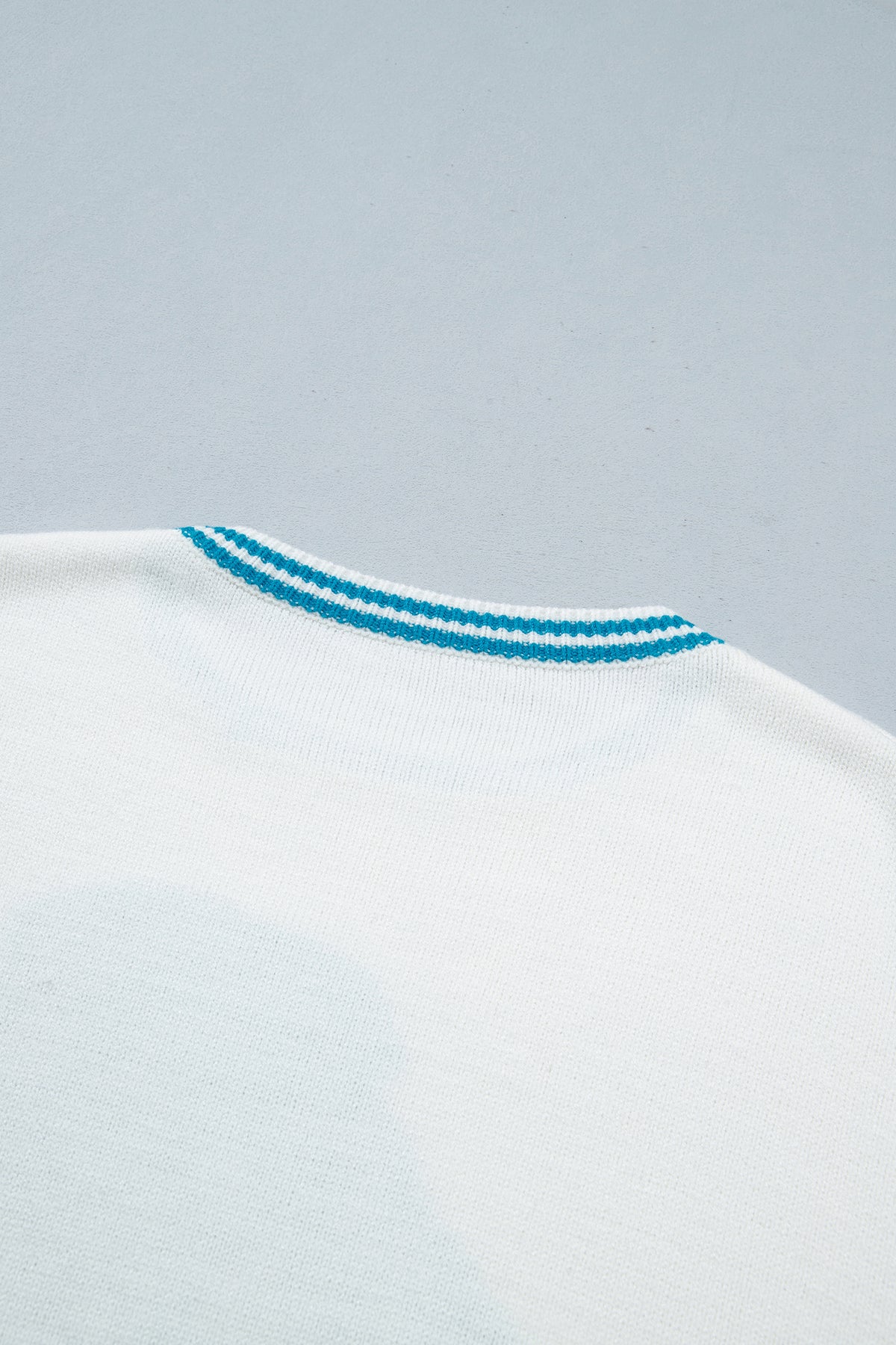 Light Blue Bulldog Contrast Trim Round Neck Casual Sweater