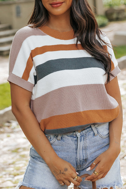 Camel Striped Knit Crew Neck T Shirt Sweater