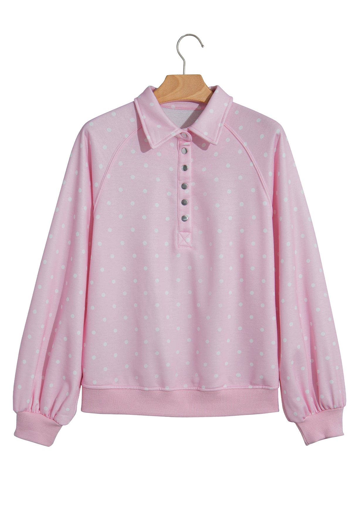 Polka Dot Button Collar Pullover Sweatshirt