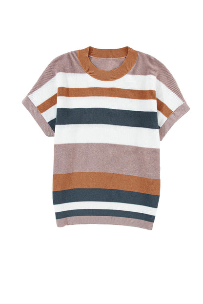 Camel Striped Knit Crew Neck T Shirt Sweater