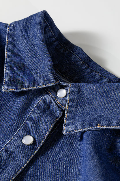 Ashleigh Blue Denim Shirt Collar Long Sleeve Flared Dress