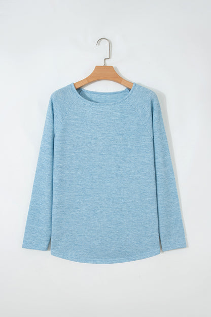 Moonlight Textured Raglan Sleeve Knit Top