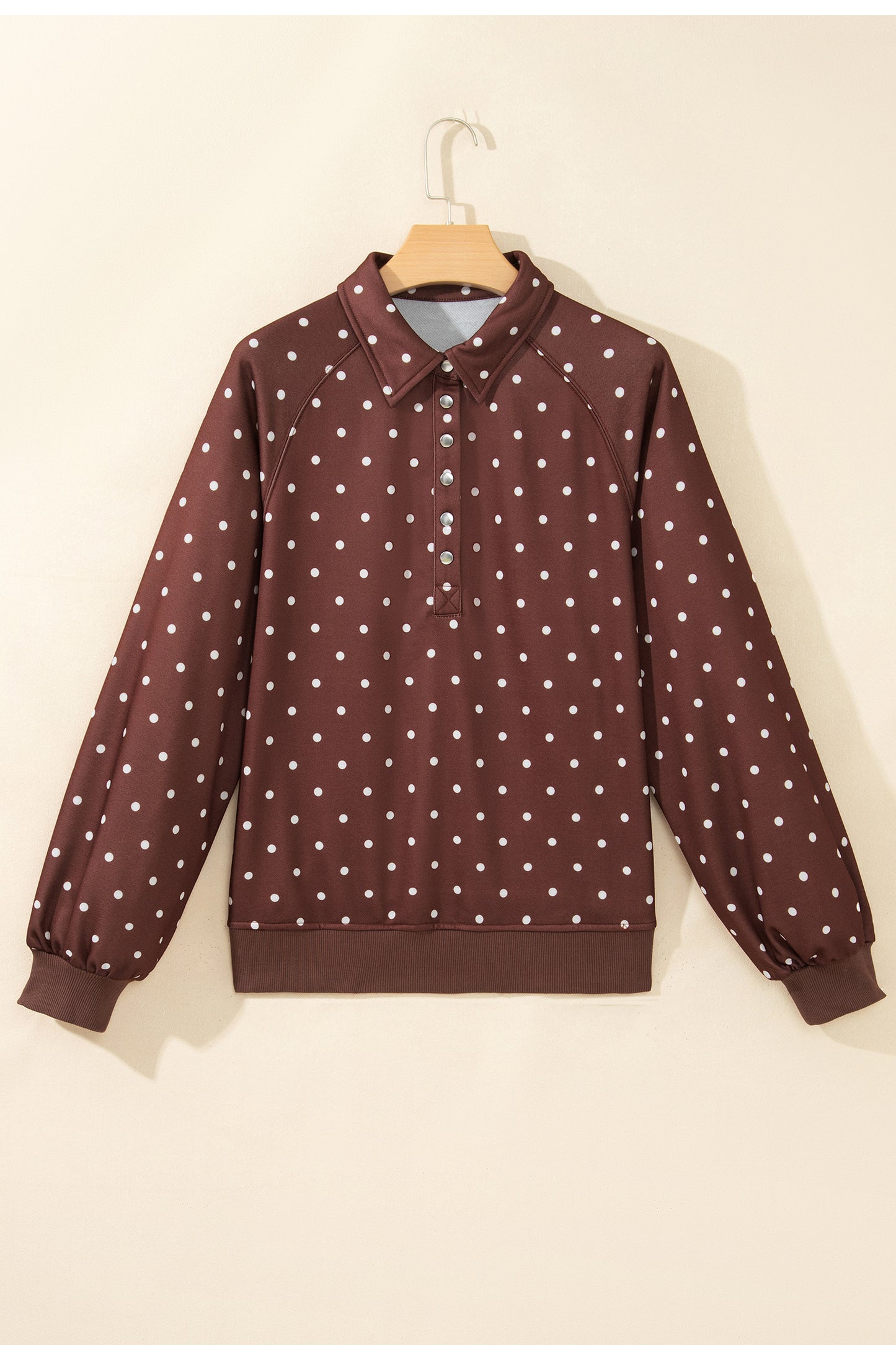 Polka Dot Button Collar Pullover Sweatshirt