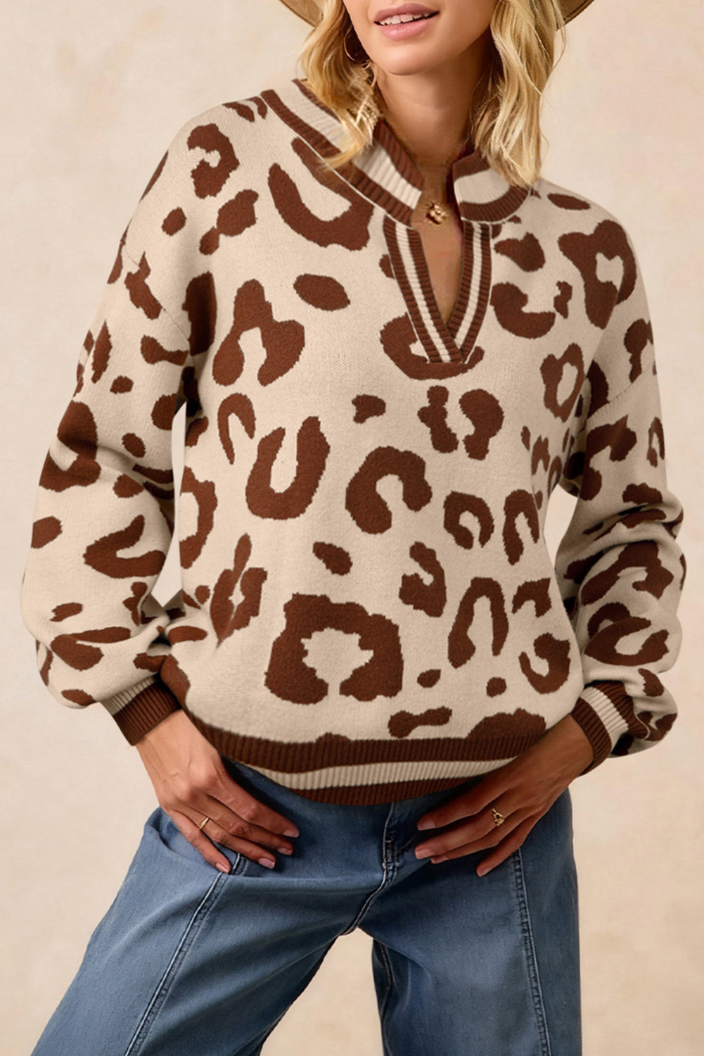 Leopard Print V Neck Sweater Casual Knit Pullover for Women