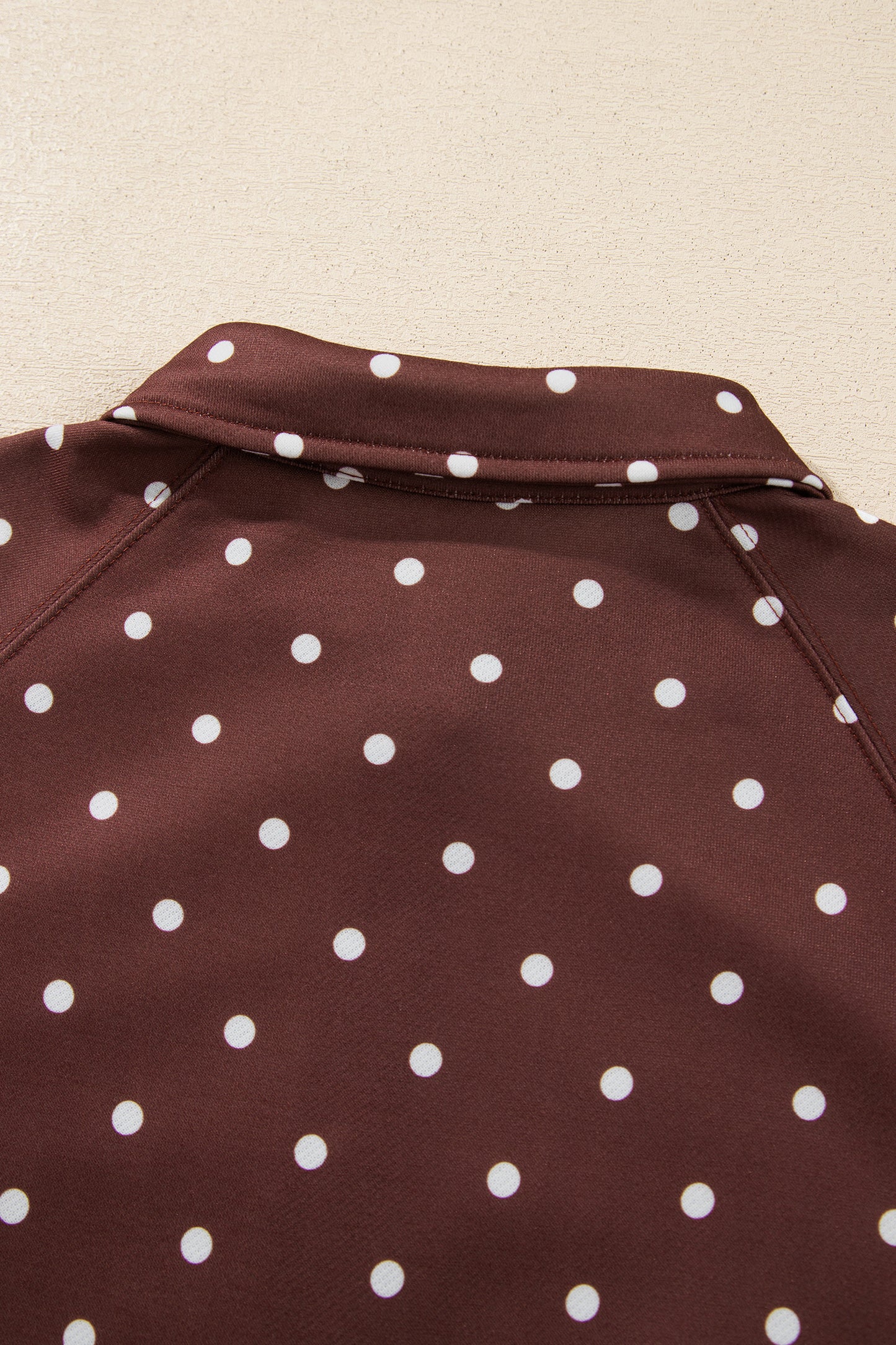 Polka Dot Button Collar Pullover Sweatshirt