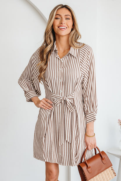 Brown Stripe Knot Waist Puff Sleeve Button Down Shirt Dress