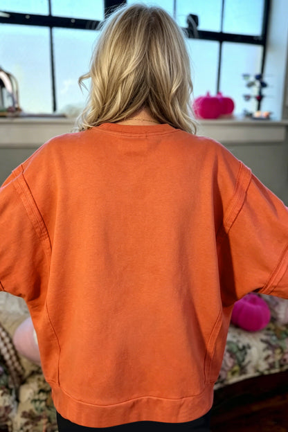 Flamingo Halloween Witchy Plaid Patch Sweatshirt