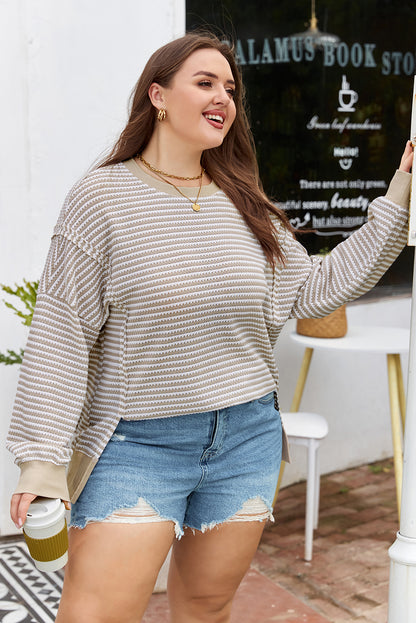 Plus Size Brown Stripe Knit Long Sleeve Ribbed Top