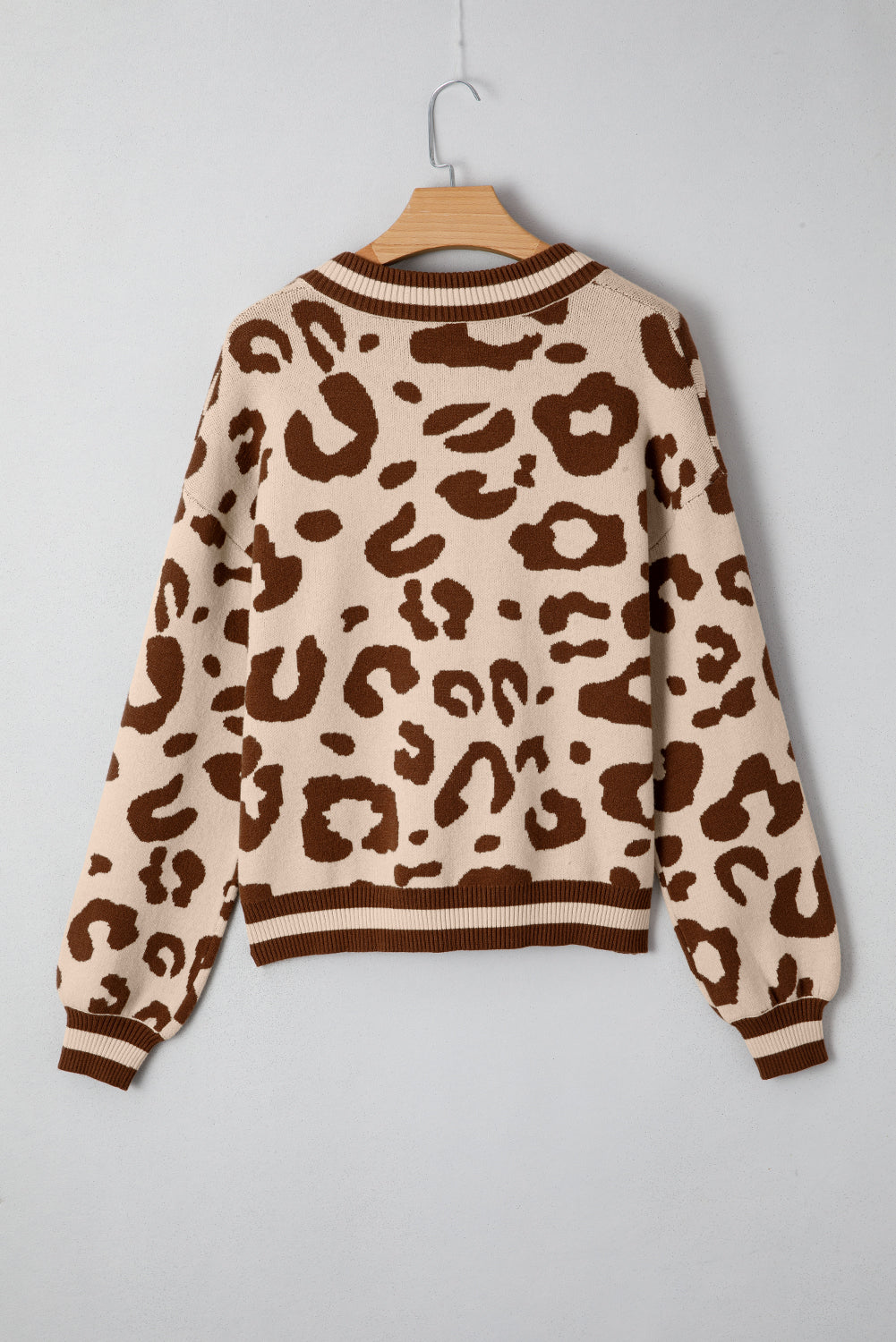 Leopard Print V Neck Sweater Casual Knit Pullover for Women