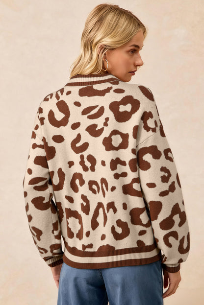 Leopard Print V Neck Sweater Casual Knit Pullover for Women