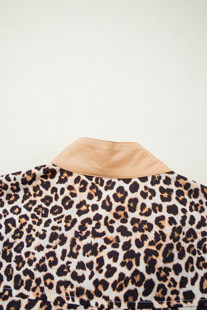 Multicolour Button Striped Collar Leopard Print Long Sleeve Flared Dress