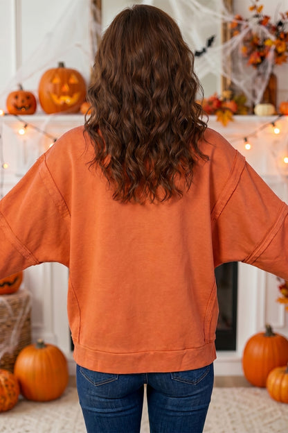 Flamingo Halloween Witchy Plaid Patch Sweatshirt