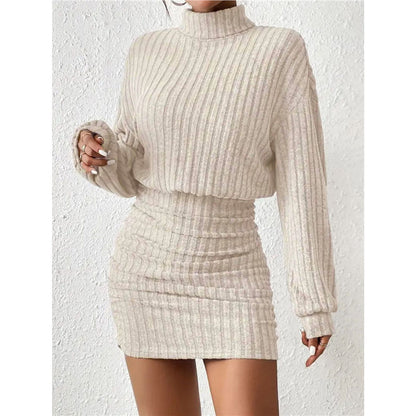 Ribbed Turtleneck Long Sleeve Bodycon Mini Dress