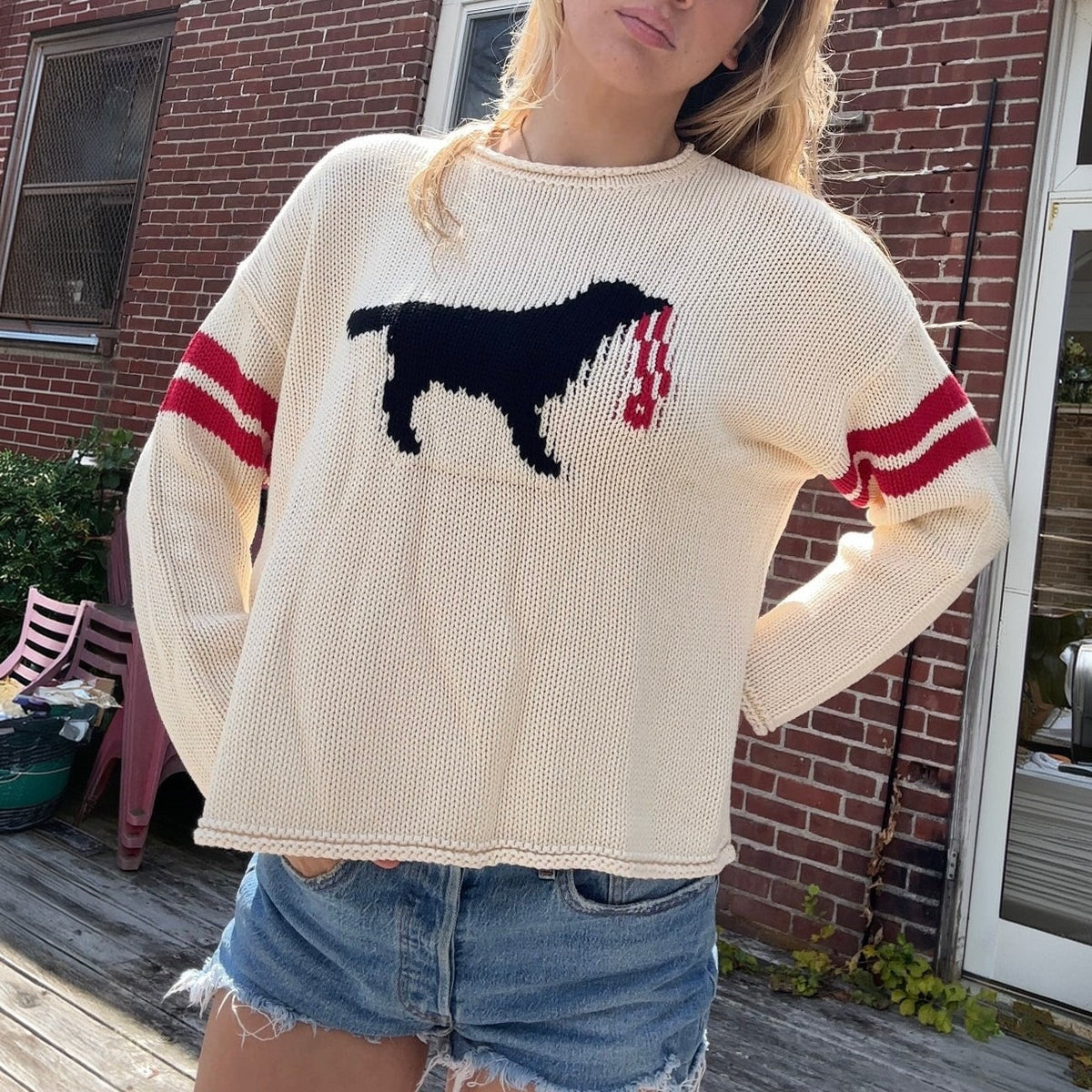 Women's Dog Graphic Crewneck Knit Sweater