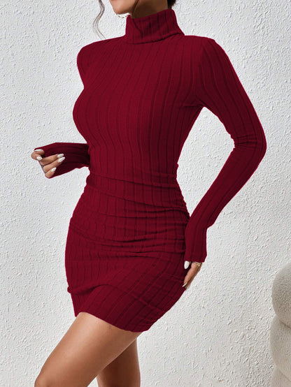Ribbed Turtleneck Long Sleeve Bodycon Mini Dress