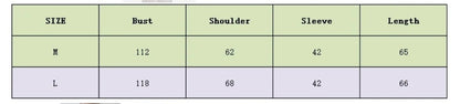Sheer Knit Pullover Sweater Long Sleeve Loose Fit Top