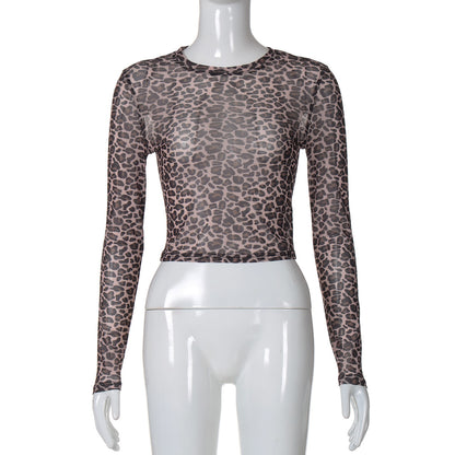 Leopard Print Sheer Mesh Long Sleeve Crop Top