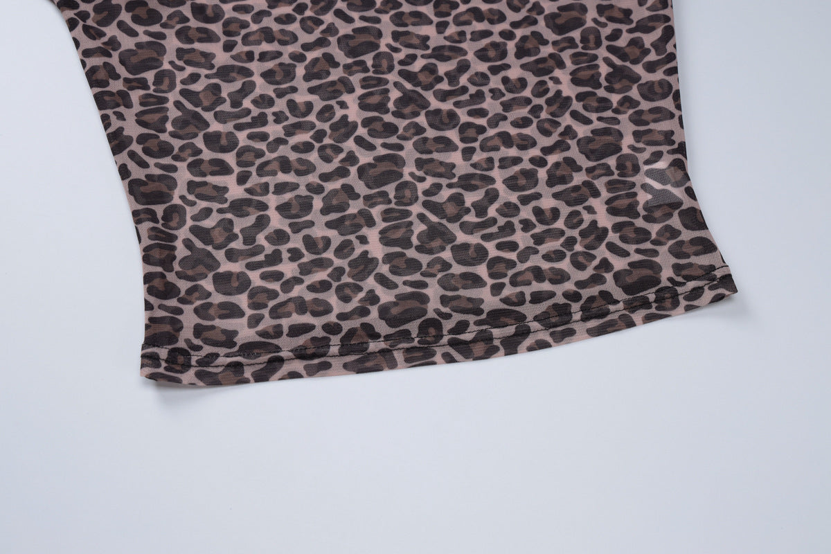 Leopard Print Sheer Mesh Long Sleeve Crop Top