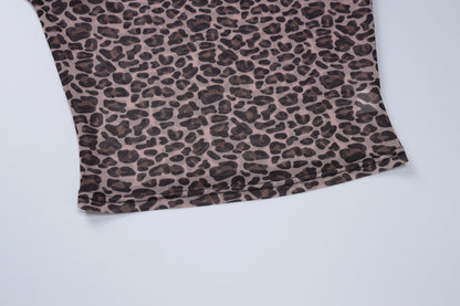Leopard Print Sheer Mesh Long Sleeve Crop Top