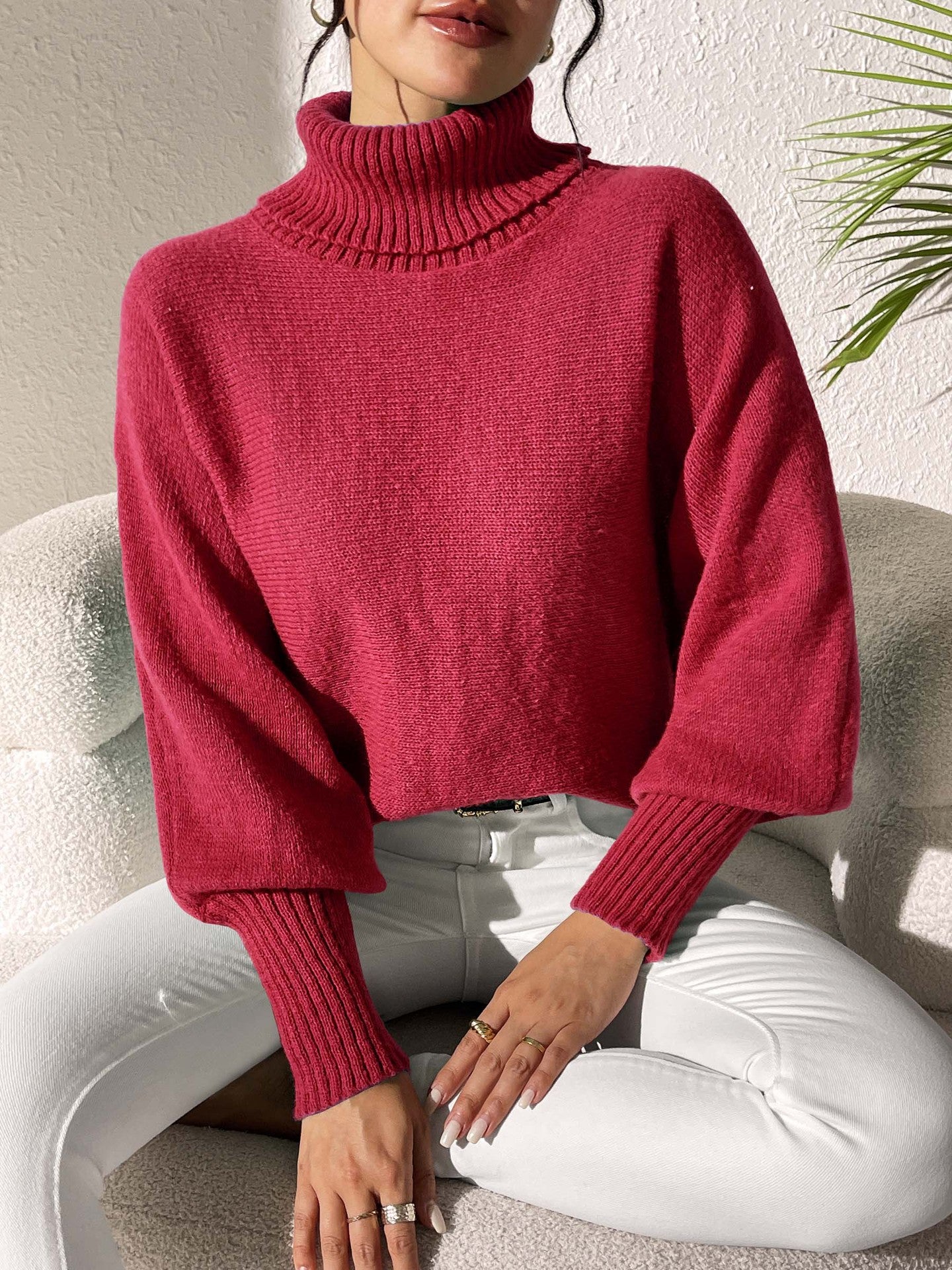 Women's Bottoming Shirt Autumn and Winter Casual Turtleneck Sweater