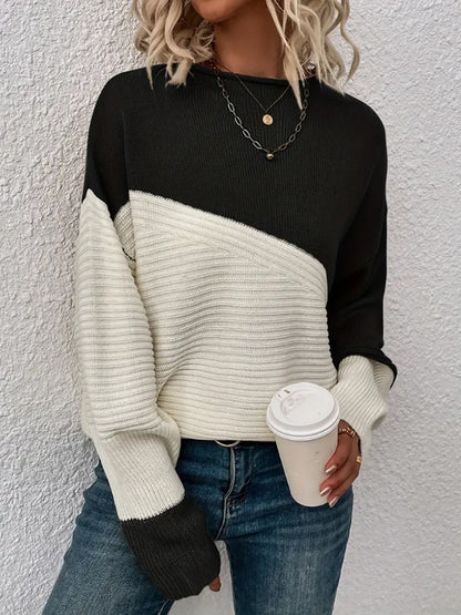 Color Block Crew Neck Long Sleeve Sweater