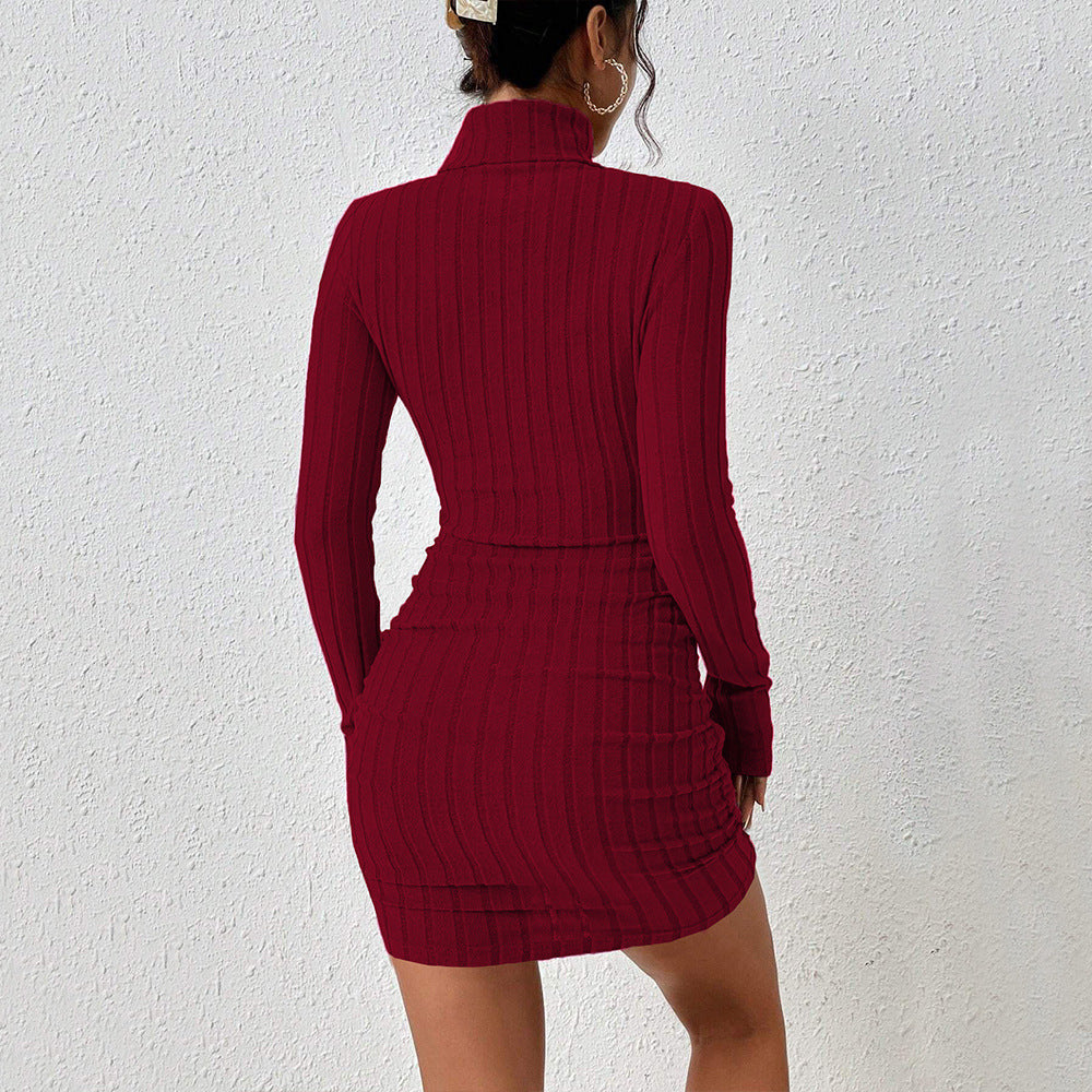 Ribbed Turtleneck Long Sleeve Bodycon Mini Dress