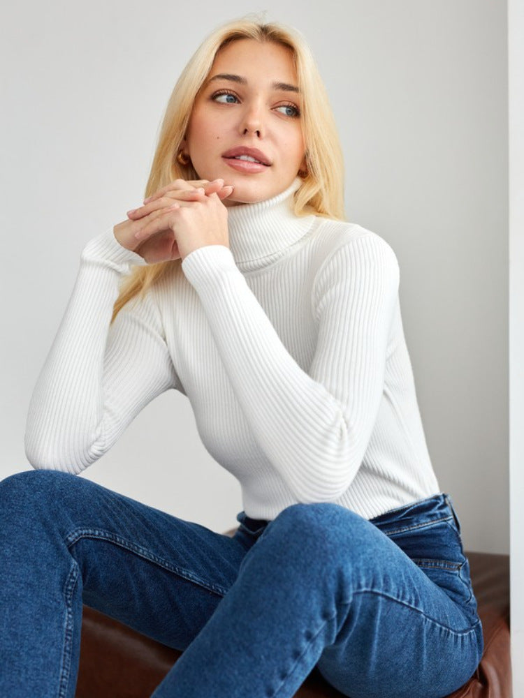 Women's Ribbed Turtleneck Knit Sweater Top