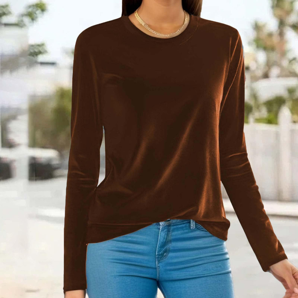 Women's Velvet Long Sleeve Crew Neck Top