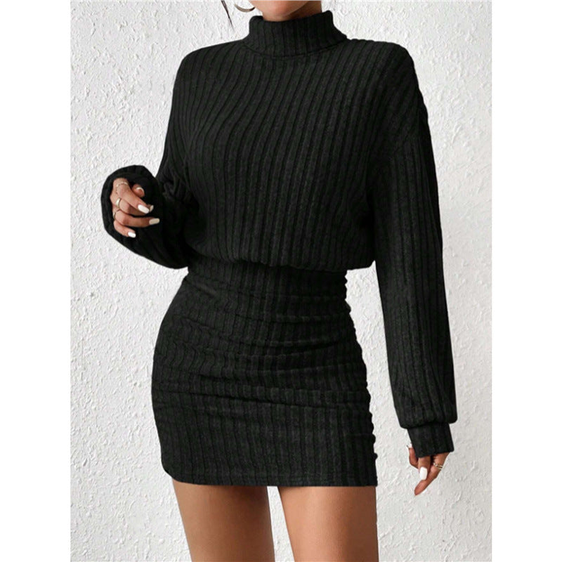 Ribbed Turtleneck Long Sleeve Bodycon Mini Dress