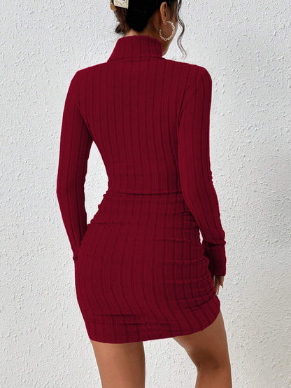Ribbed Turtleneck Long Sleeve Bodycon Mini Dress