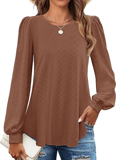Solid Eyelet Lace Blouse Crew Neck Lantern Sleeve Top