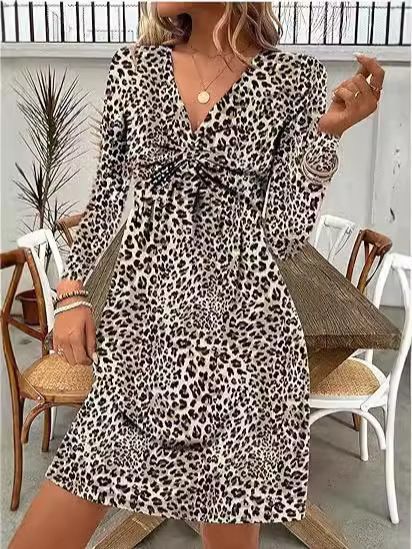 Leopard Print V-Neck Twist Front Long Sleeve Mini Dress