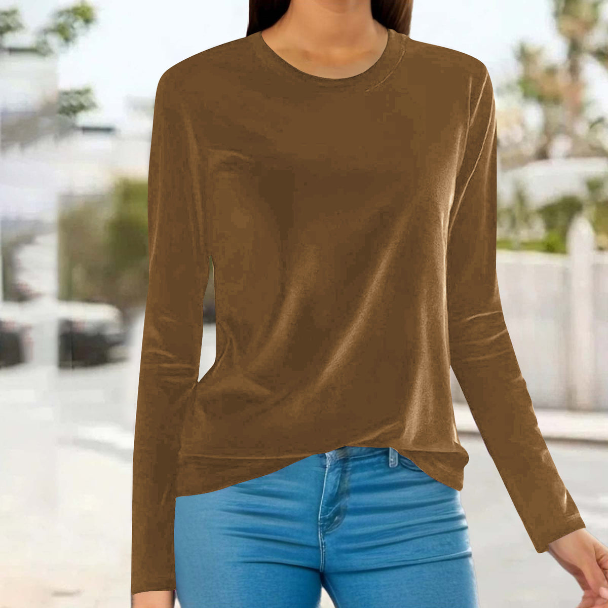 Women's Velvet Long Sleeve Crew Neck Top