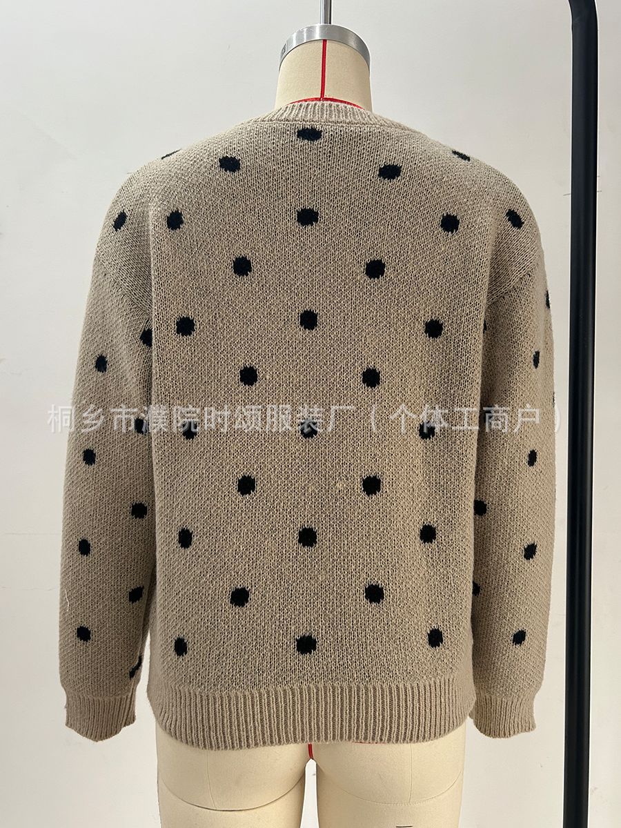 Women's Polka Dot Crew Neck Pullover Sweater