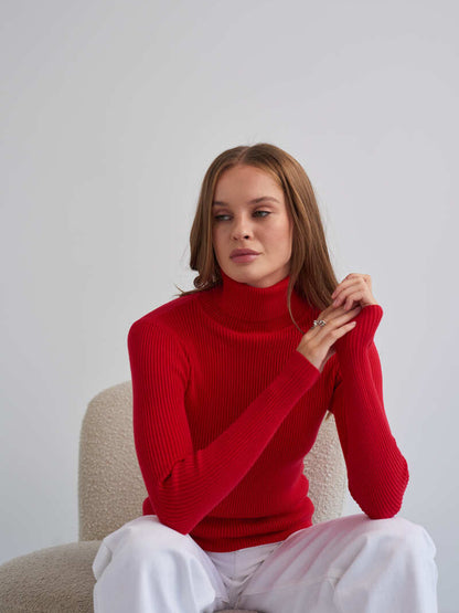 Women's Ribbed Turtleneck Knit Sweater Top