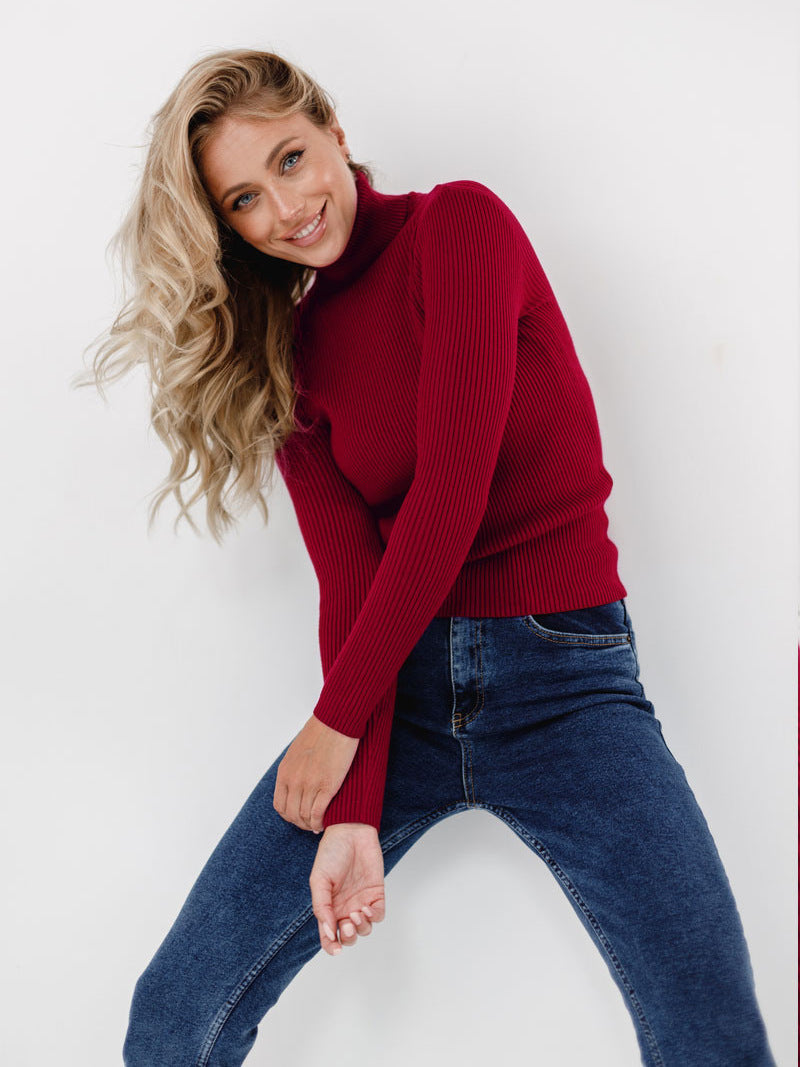 Women's Ribbed Turtleneck Knit Sweater Top