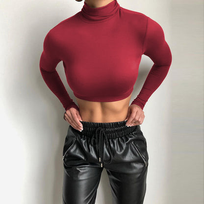 Sexy Fitted Mock Neck Long Sleeve Crop Top